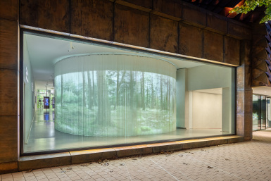 Außenaufnahme Schaufenster, Sensoria, Haus der Dürfte und Aromen, Holzminden