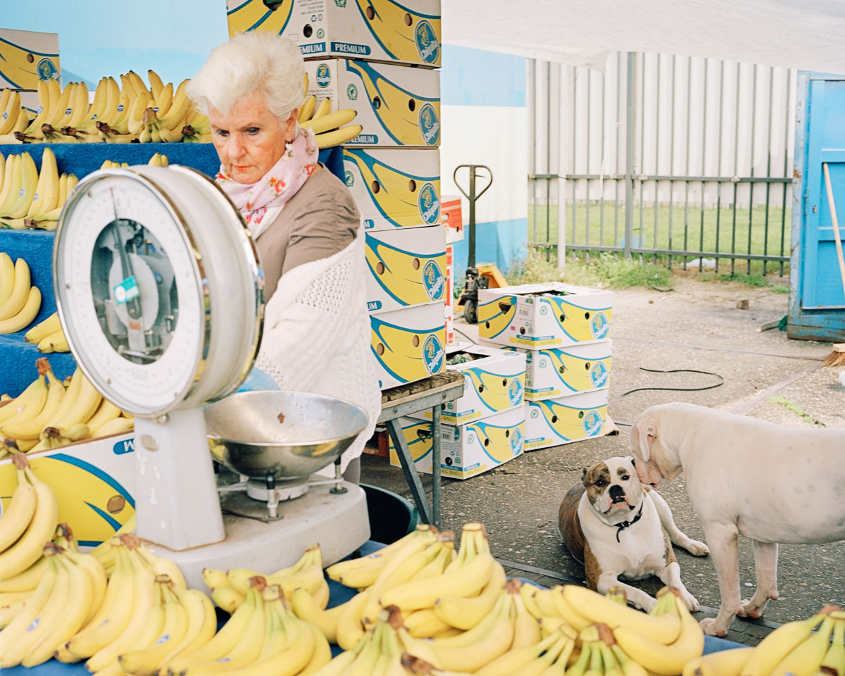 Bananenverkäuferin mit Hunden, Den Haag - Juliane Herrmann