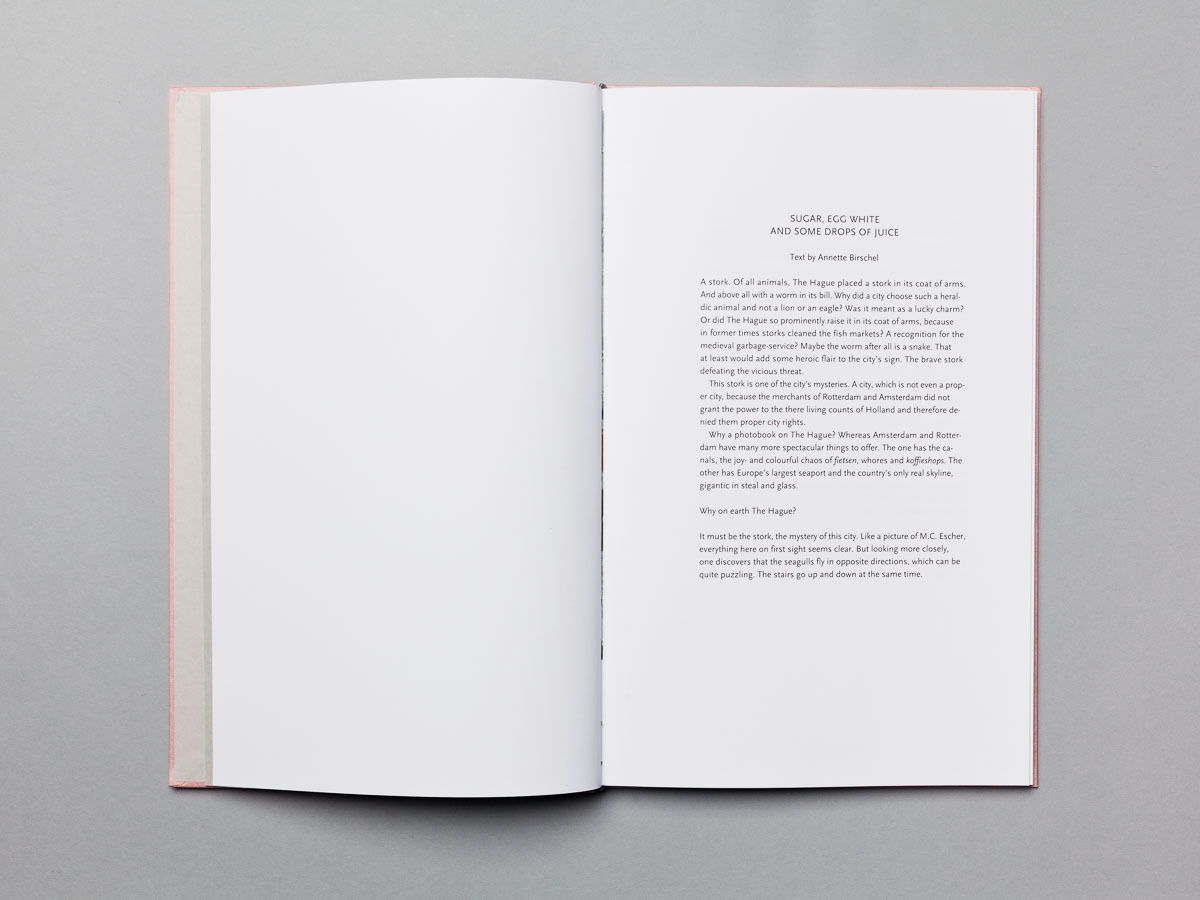 Doppelseite Fotobuch Den Haag - Juliane Herrmann