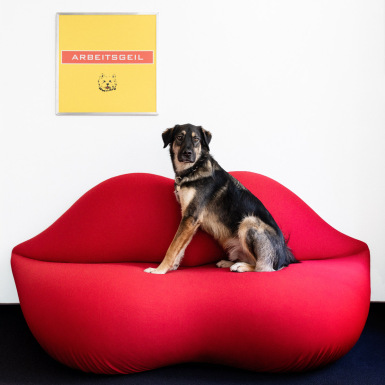 Portrait eines Hundes