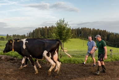 Dokumentarfotografie beim Milchbauern