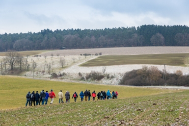 Wanderung nach Hamm (Sieg)